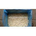 IQF Frozen Vegetable Garlic Price